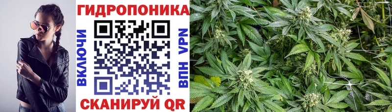 Конопля планчик  Ефремов 